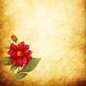 Scrapbook vintage texture