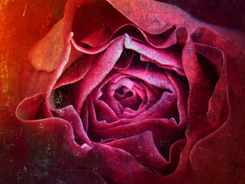 Vintage petals background