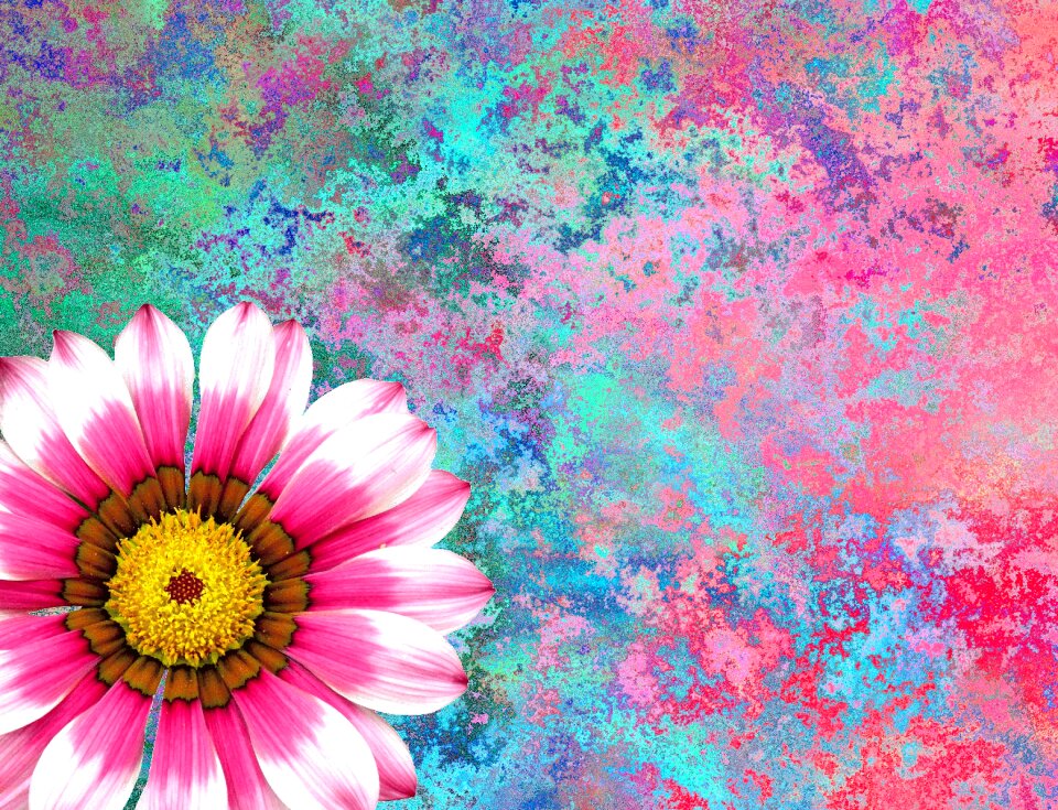 Blossom bloom flower
