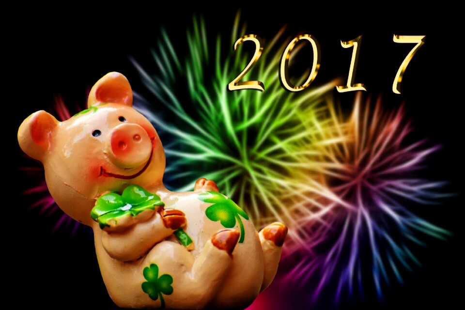 Cute lucky charm sow