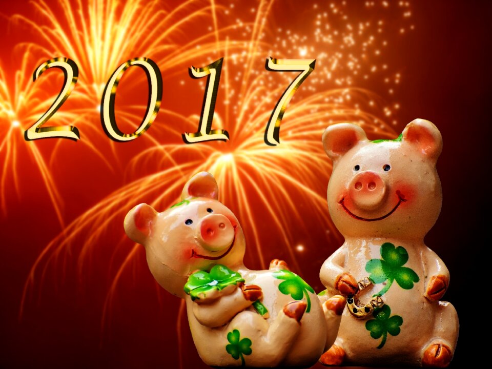 Cute lucky charm sow