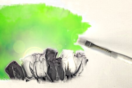 Color drawing botanical