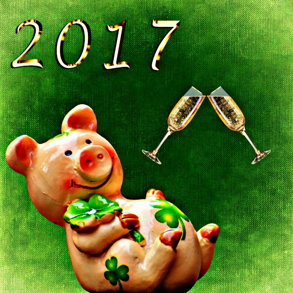 Cute lucky charm sow