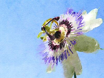 Watercolour blue watercolor Free illustrations