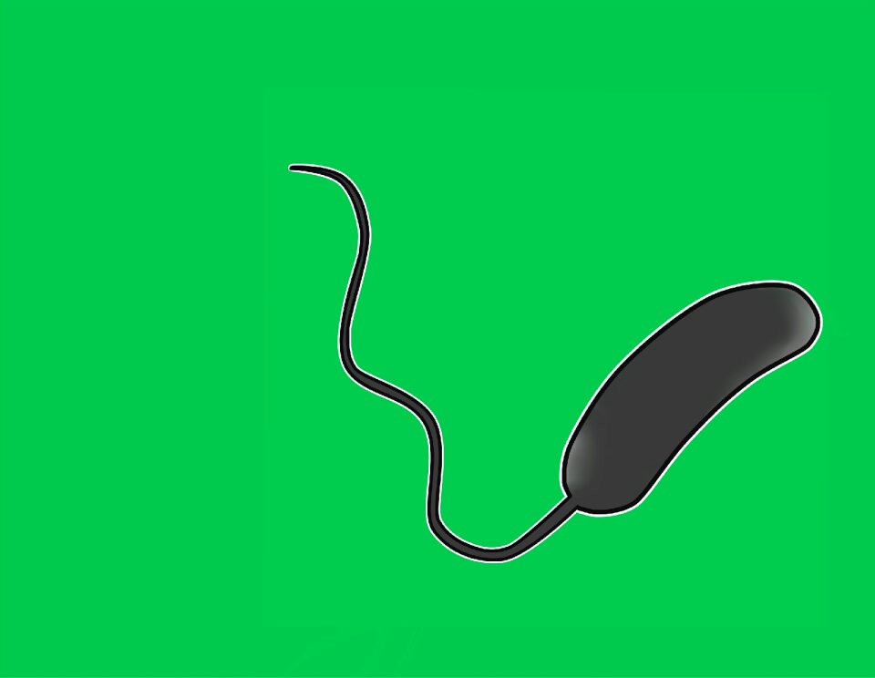 Micro-organism health Free illustrations