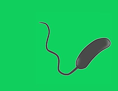 Micro-organism health Free illustrations