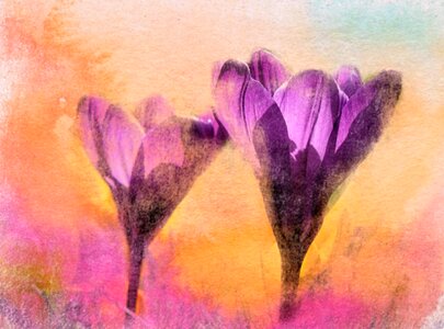 Background watercolour Free illustrations