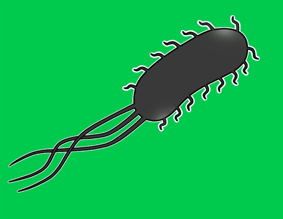 Micro-organism health Free illustrations