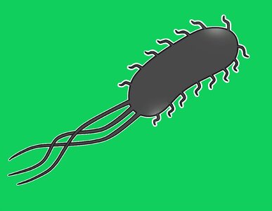 Micro-organism health Free illustrations