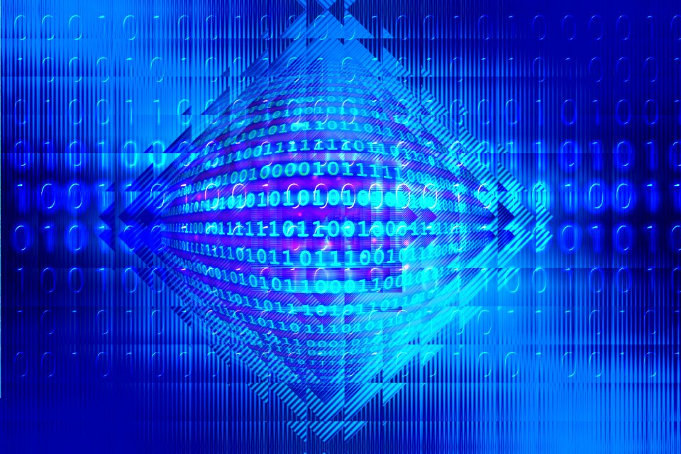 Web network abstract
