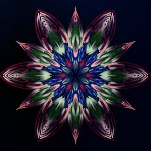 Color flora meditation