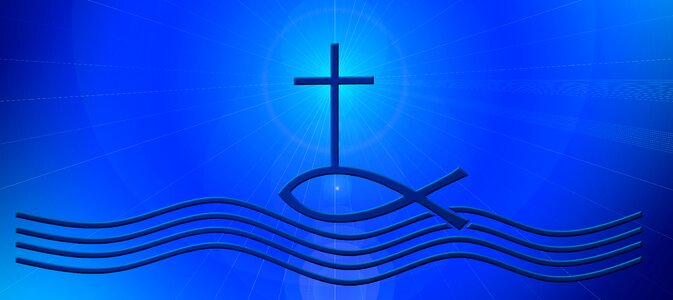 Faith fish wave