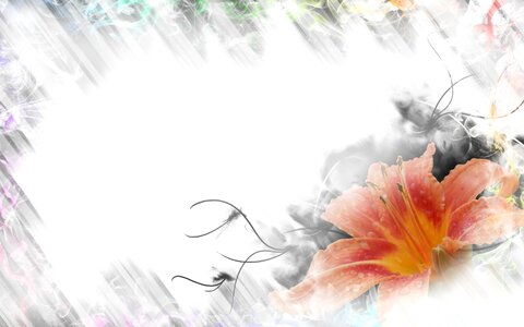 Edge outline colorful