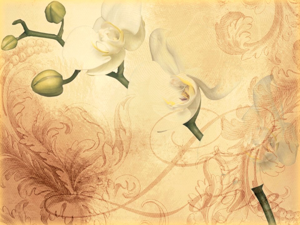 Floral love stationery