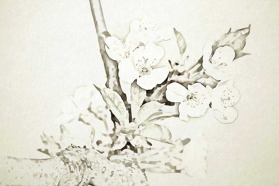 Digital graphics flower