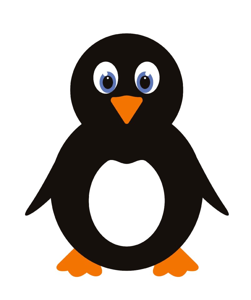 Cold bird winter