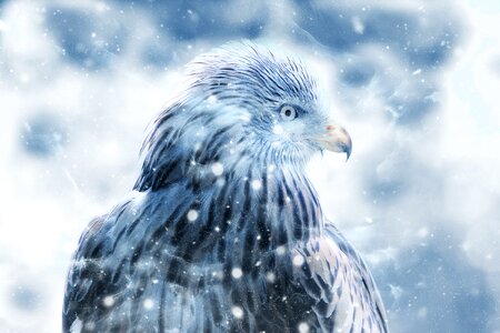 Art vintage winter