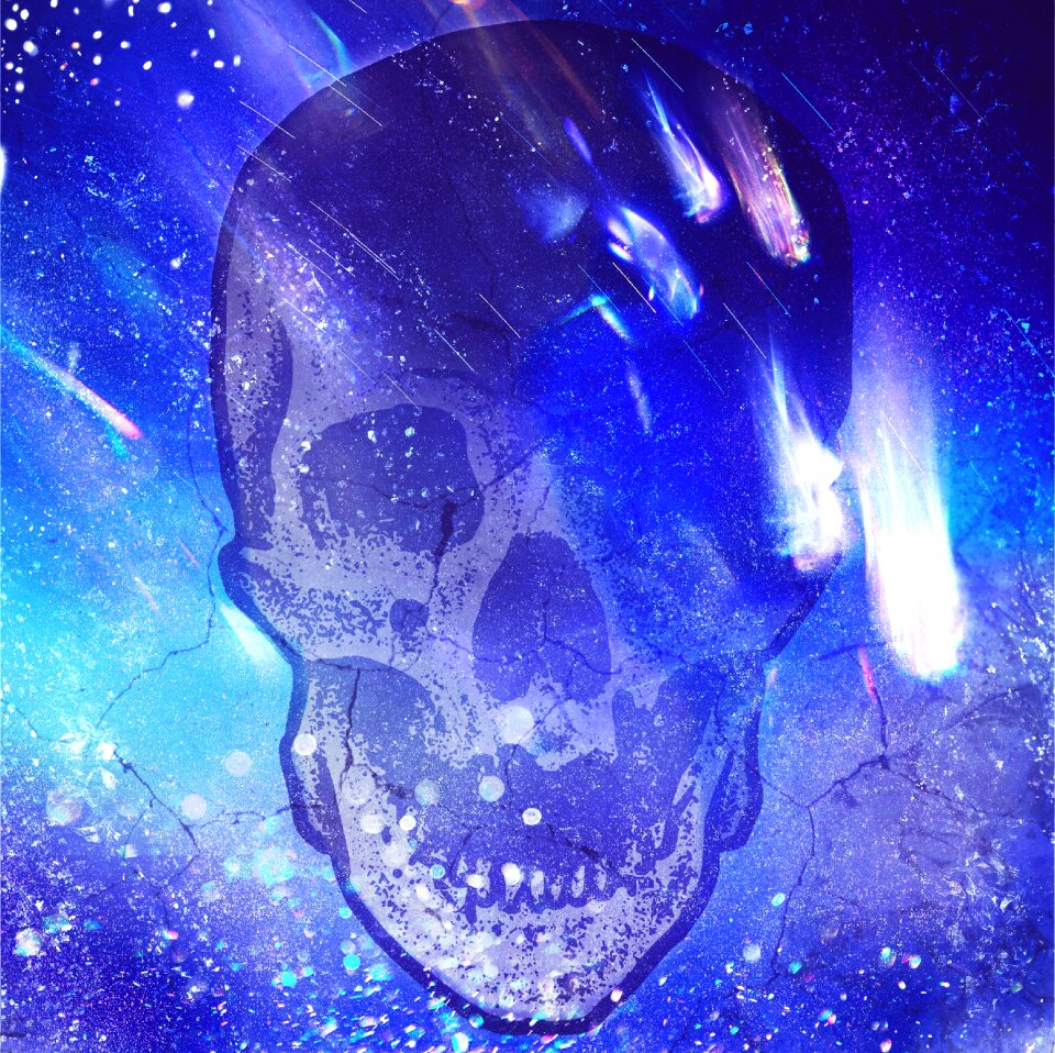 Art skeleton life