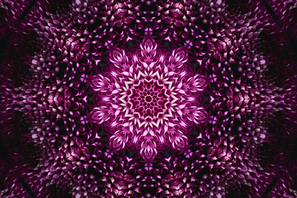 Pattern structure graphic