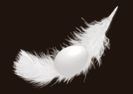 Chicken feather decoration happy easter