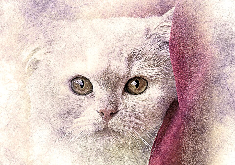 Art abstract vintage