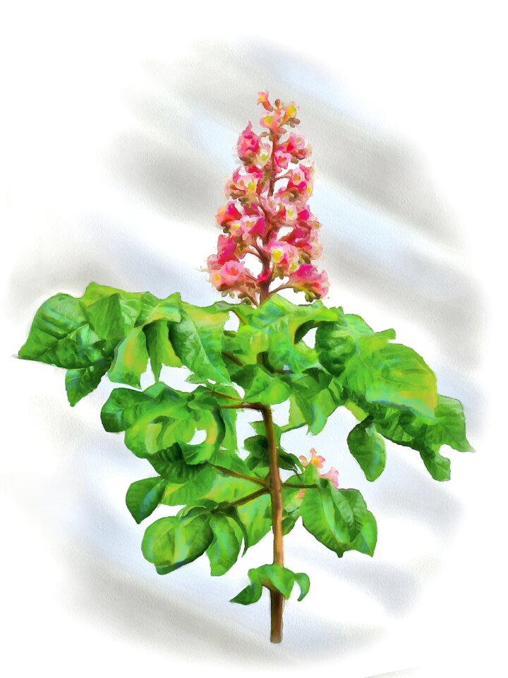 Figure trees design