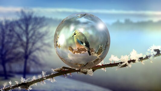 Frozen wintry cold