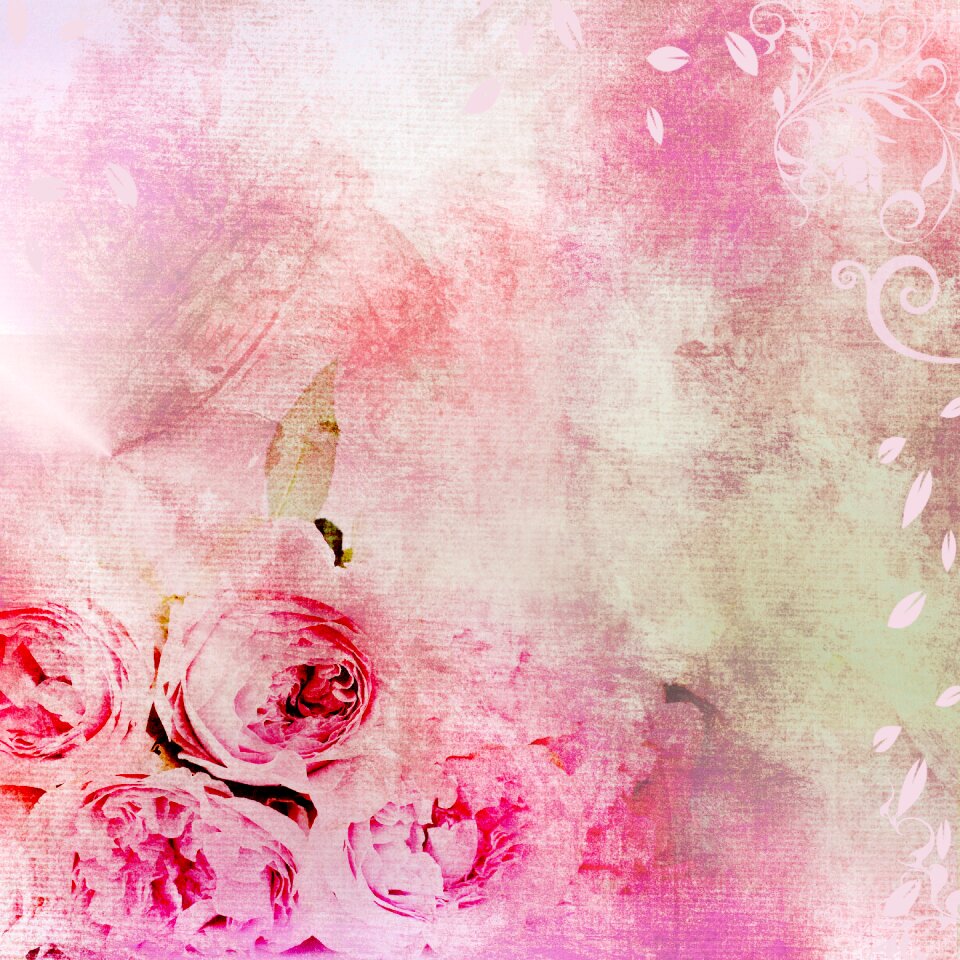 Nature paper background scrapbook rose