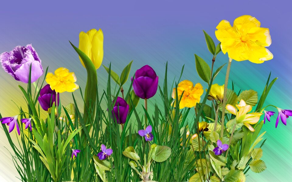 Nature foliage Free illustrations
