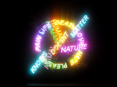 Gallery neon lights