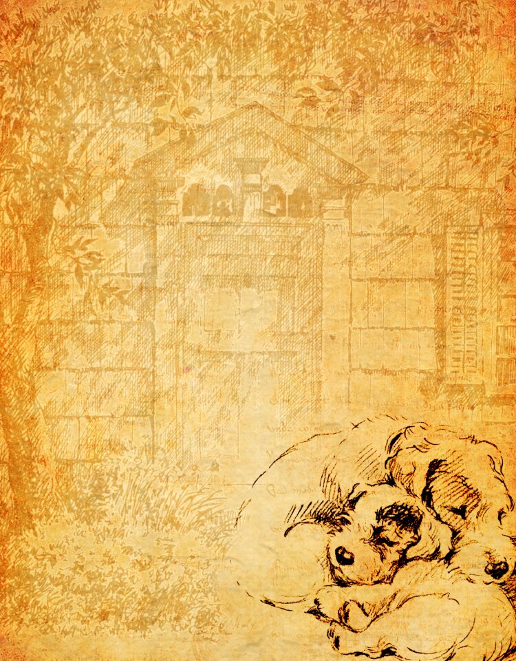 Paper scrapbook vintage
