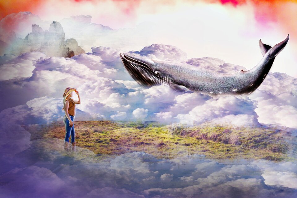 Sky animal blue