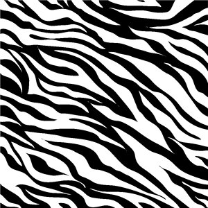 White zebra patterns