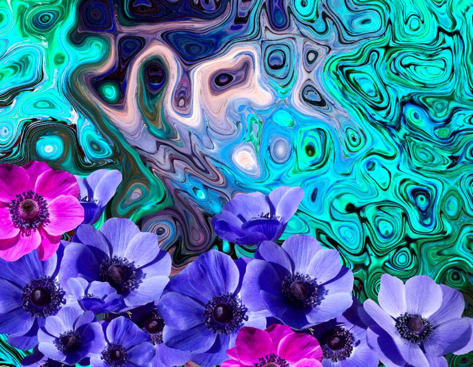 Bloom poppy blue