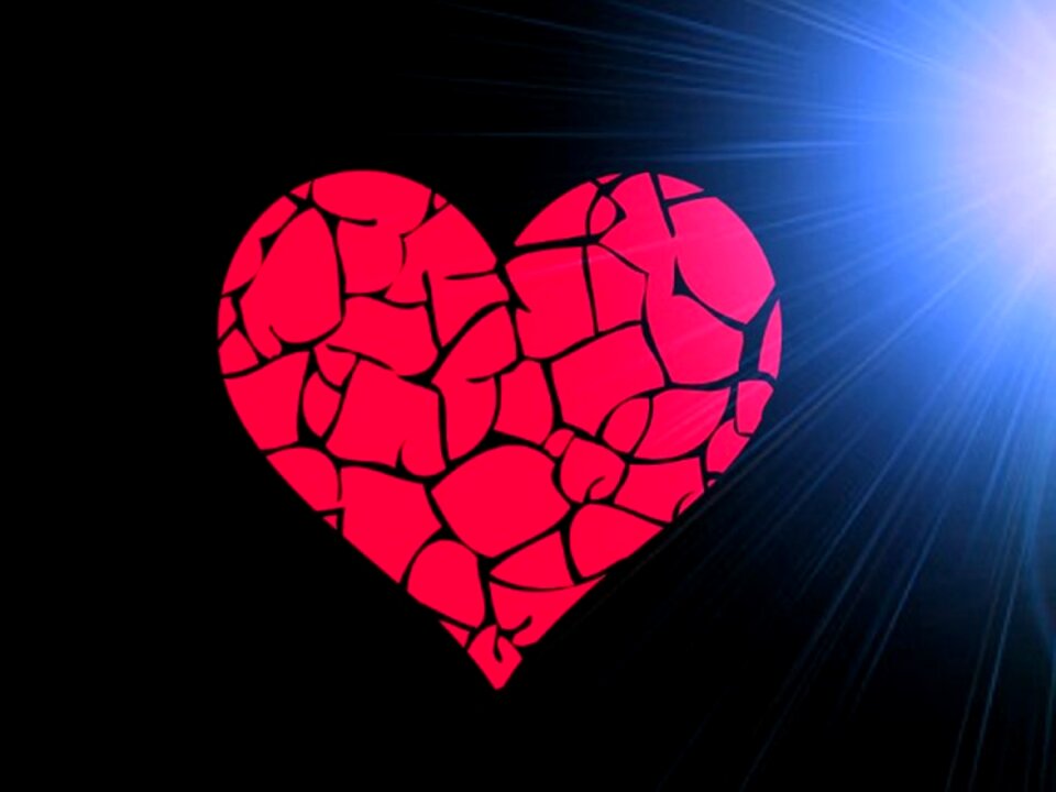 In love love joy