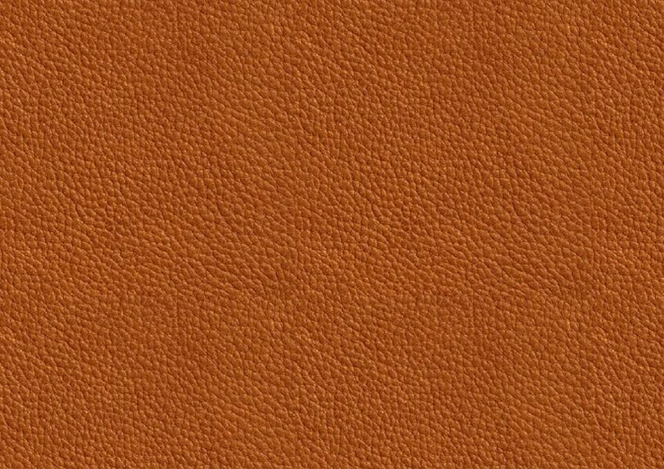 Skin brown orange