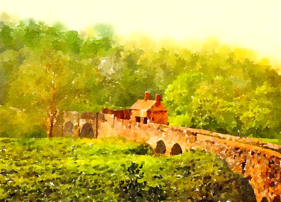 Scene view landscape
