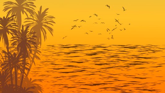 Palms birds flying Free illustrations