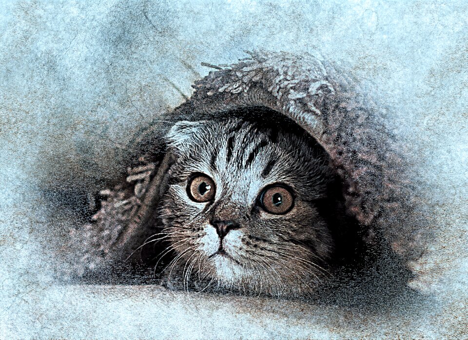 Abstract vintage animal