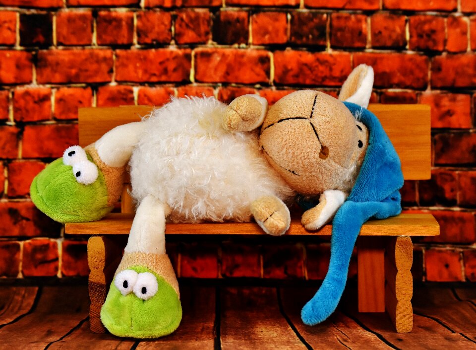 Stuffed animal soft toy cute