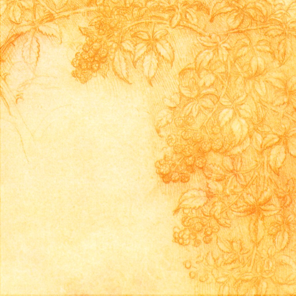 Texture scrapbook vintage