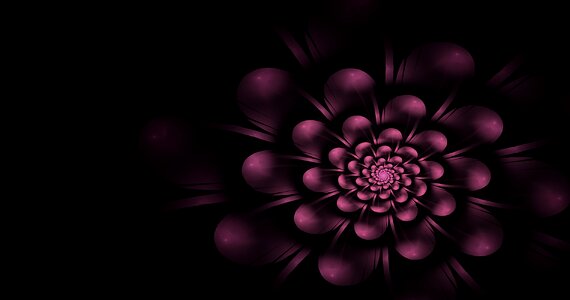 Violet purple fantasy