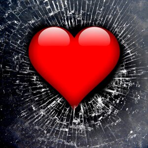 In love love joy