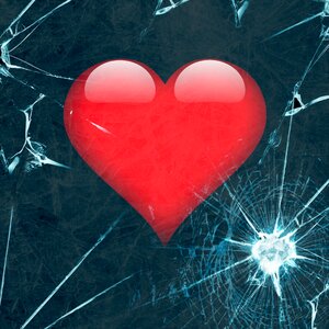 In love love joy