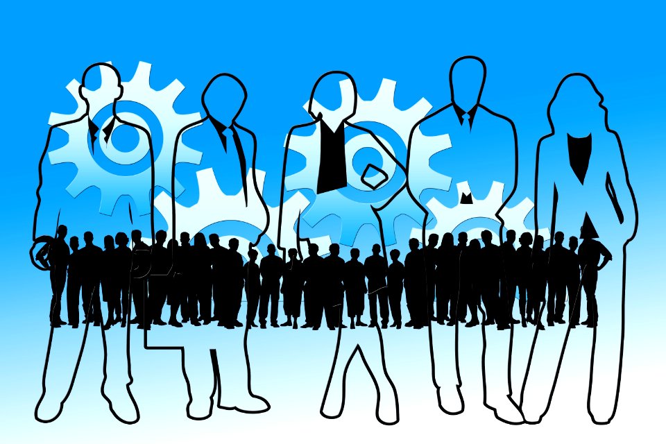 Executive cooperation cohesion