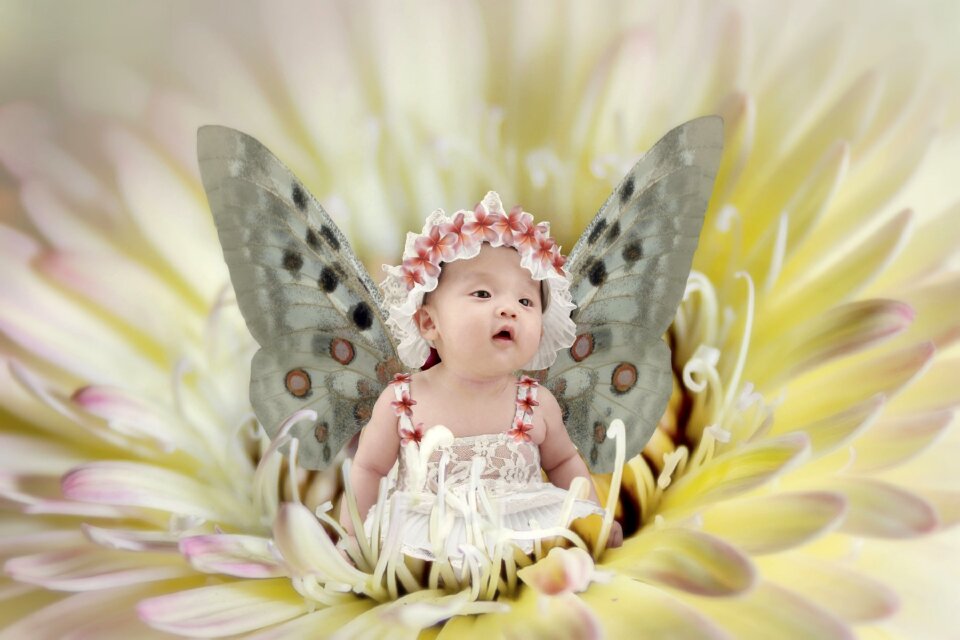 Flower infant butterfly
