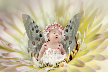 Flower infant butterfly
