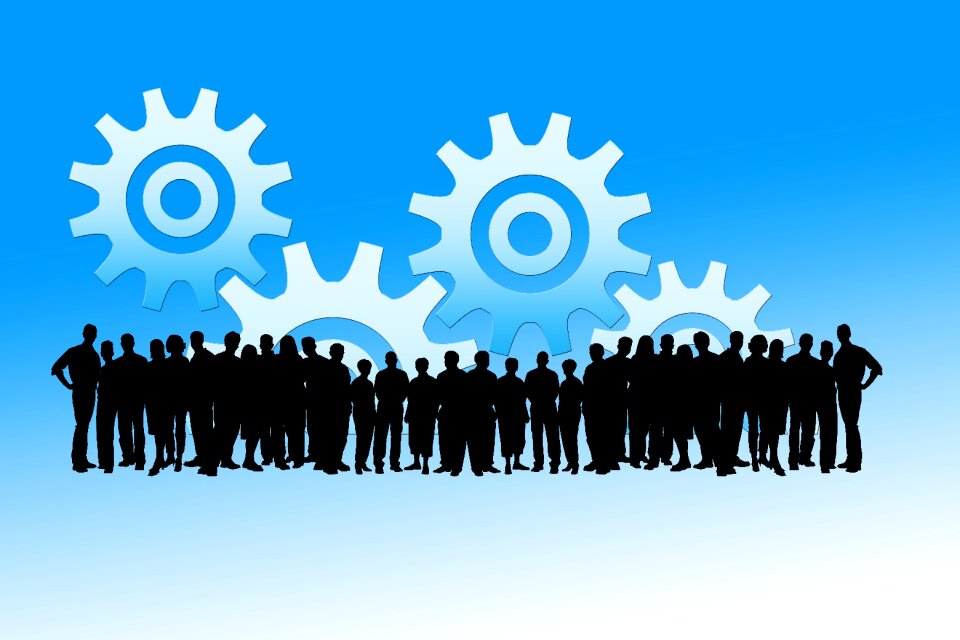 Executive cooperation cohesion