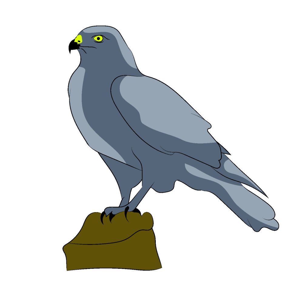 Bird predator Free illustrations