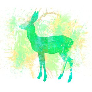 Animal nature drawn